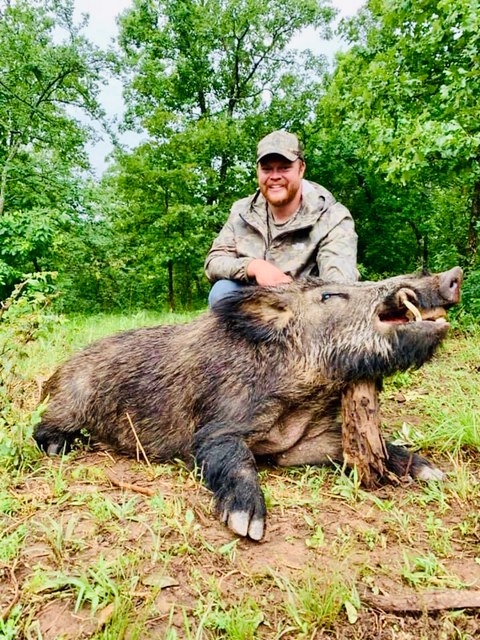 Wild Pig Hunting