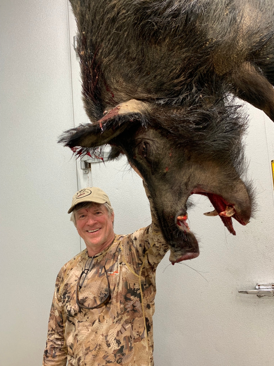 Wild Hog Hunts