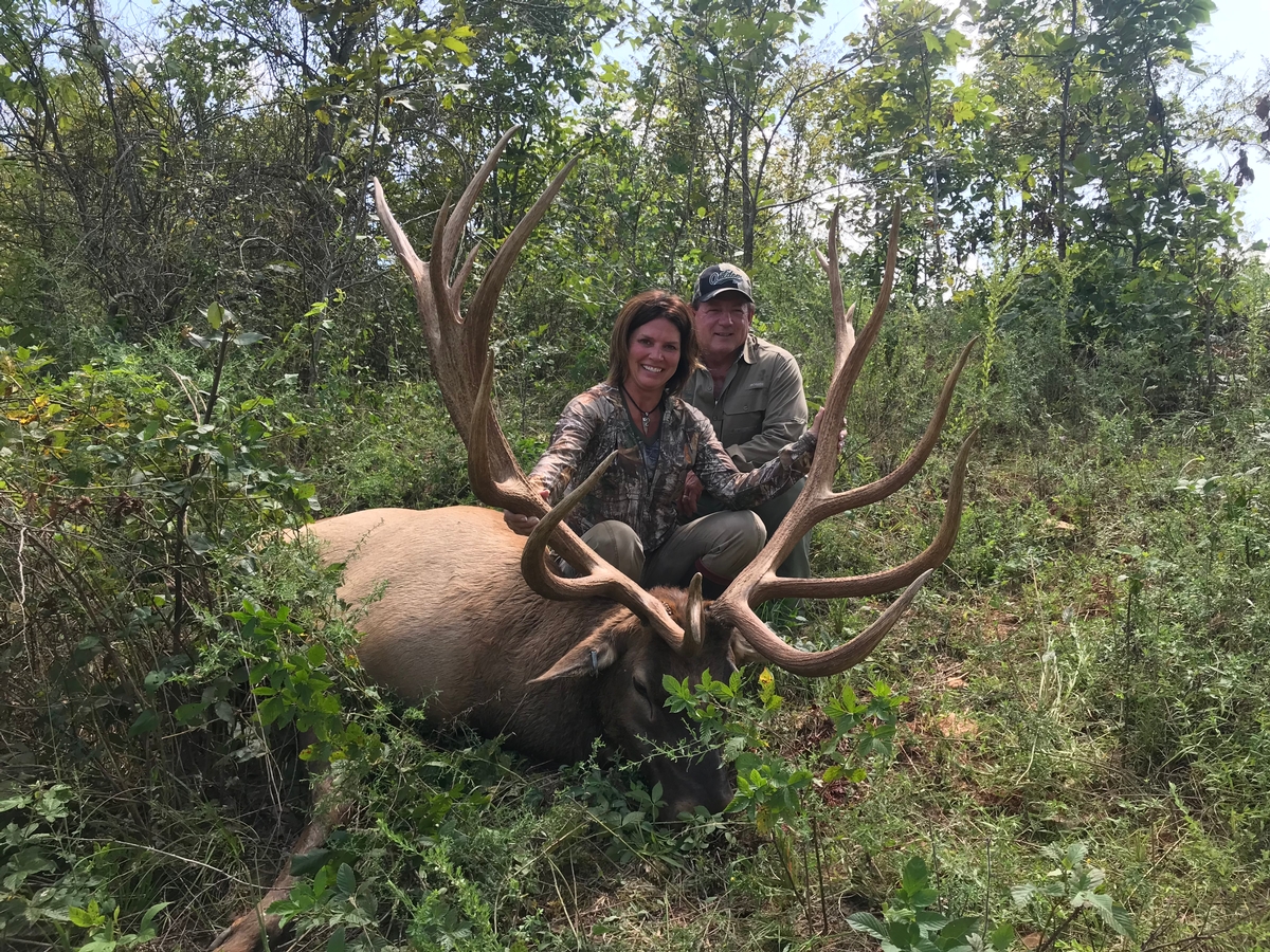 Trophy Elk Hunts
