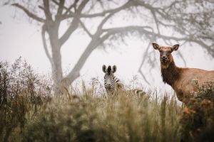 Photography Tours